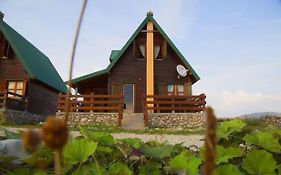 Mountain Vista Chalet